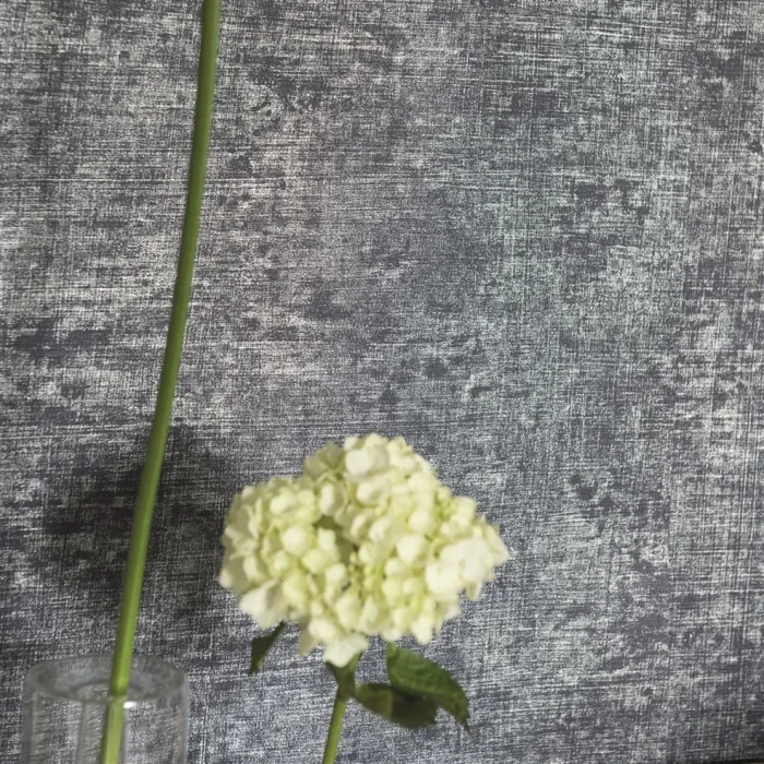 a86100926238c62aceaf4669a636367d