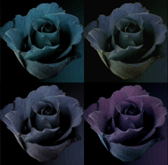 Fototapeta Eco Rose 2211