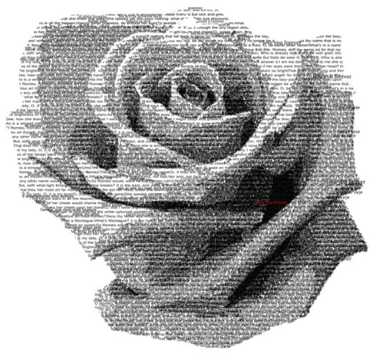 Fototapeta Eco Rose 2228