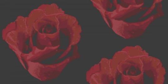 Tapeta Eco Rose 2770