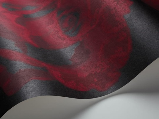 Tapeta Eco Rose 2770