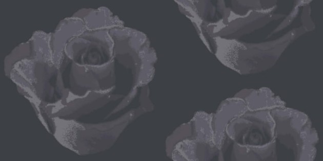Tapeta Eco Rose 2771