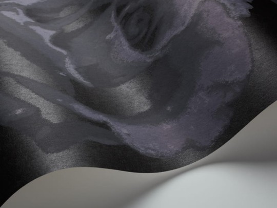 Tapeta Eco Rose 2771