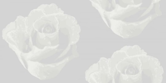 Tapeta Eco Rose 2773