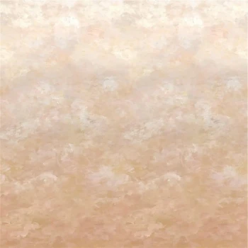 19e9b574fb4432b92f0b8edeab51da5c