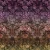 c1268bf821ed4d25e5780dbec93769bf