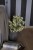 4e0202dcd990ba7ce4d5bba5f1d67fca