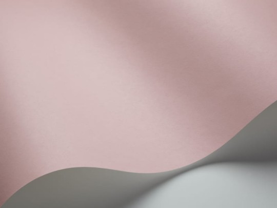 Tapeta Eco Rose 7520