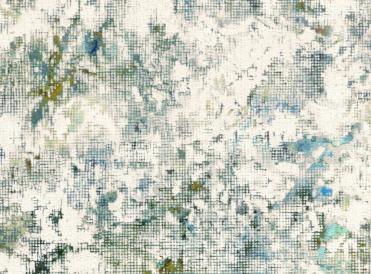 Black Edition W922/01 Mizumi Katsura Peacock - tapeta artystyczna