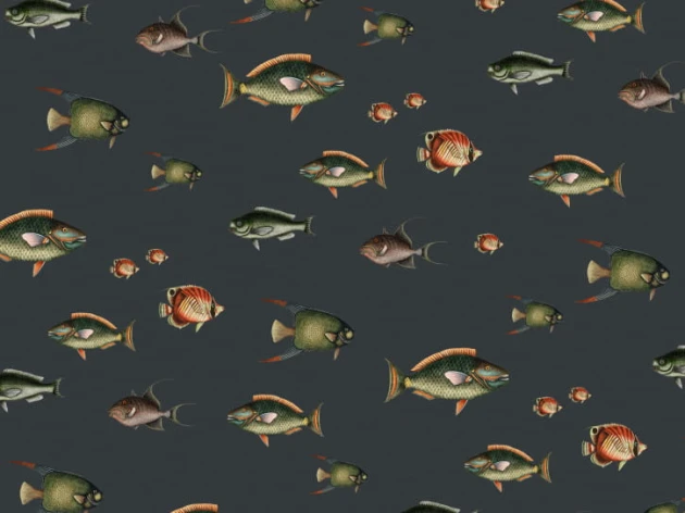 BN 200436 Creative Lab Amsterdam Colours of the Ocean - mural z motywem ryb