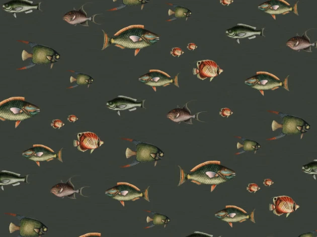 BN 200437 Creative Lab Amsterdam Colours of the Ocean - mural z motywem ryb