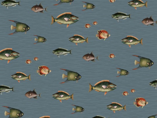 BN 200438 Creative Lab Amsterdam Colours of the Ocean - mural z motywem ryb