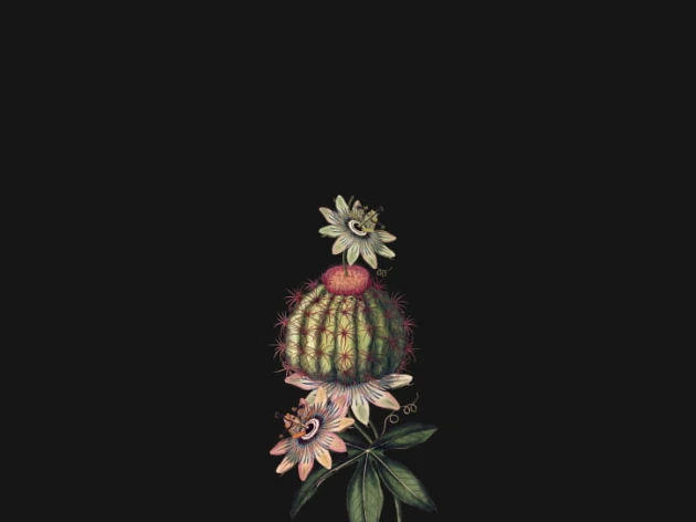 BN 300357 Rive Roshan Passi-Cactus Dark - mural z motywem kaktusa i kwiatów na jednolitym tle