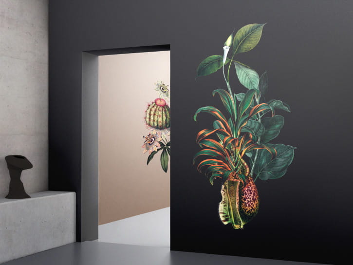 BN 300363 Rive Roshan Calla-Alata Dark - mural z motywem kwiatów i liści na jednolitym tle