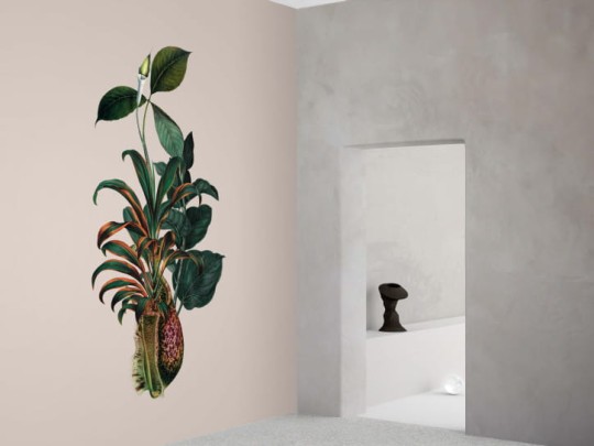 BN 300365 Rive Roshan Calla-Alata Light - mural z motywem kwiatów i liści na jednolitym tle
