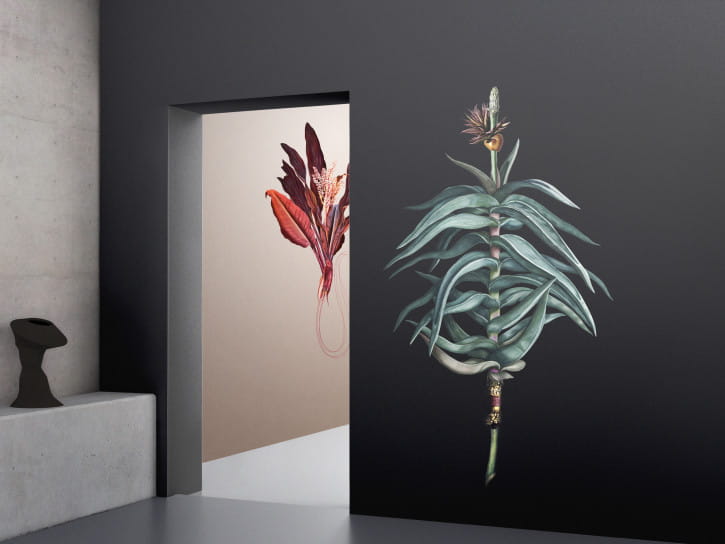 BN 300366 Rive Roshan Aloe-Acatus Dark - mural z motywem kwiatów i liści na jednolitym tle