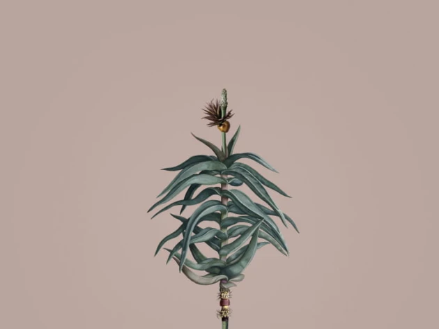 BN 300367 Rive Roshan Aloe-Acatus Mid - mural z motywem kwiatów i liści na jednolitym tle