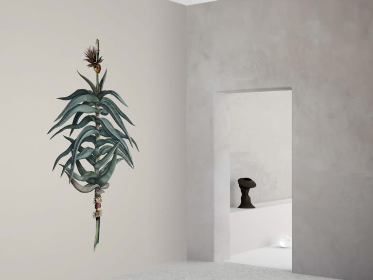 BN 300368 Rive Roshan Aloe-Acatus Light - mural z motywem kwiatów i liści na jednolitym tle