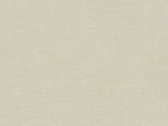 BN 219655 Linen Stories - minimalistyczna tapeta z motywem lnu w szarym kolorze