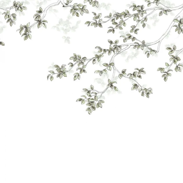Casadeco 89137508 Wonderwalls Calming Leaves - mural roślinny