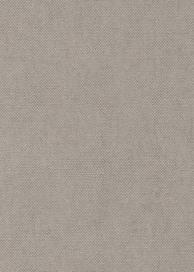 Khroma CLR023 Mysa Lys Mastic - tapeta imitująca naturalny materiał