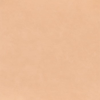 f051ff86495ebb2a823fe18bef25b547