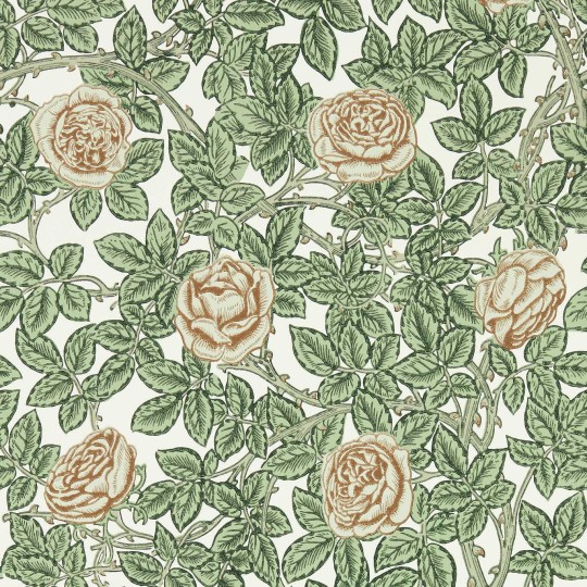 Morris & Co 217208 Emery Walker’s House Rambling Rose Leafy Arbour/Pearwood - tapeta w róże