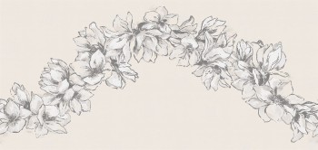 1b663cf7b216973412ef9752a803df5e