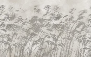 41c261e0b4b643a10d107dc5abca672a