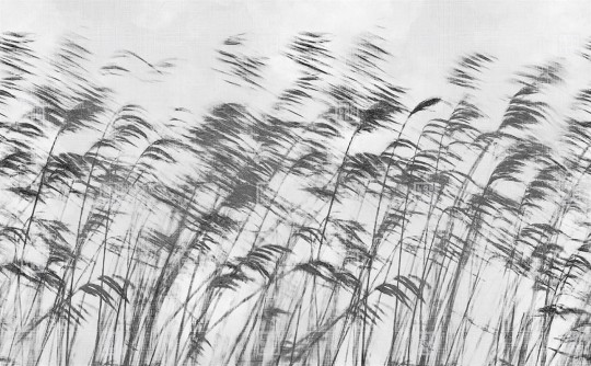 London Art 15134-06 Iconic Re-edition Gone with The Wind - mural z trawą trzcinową