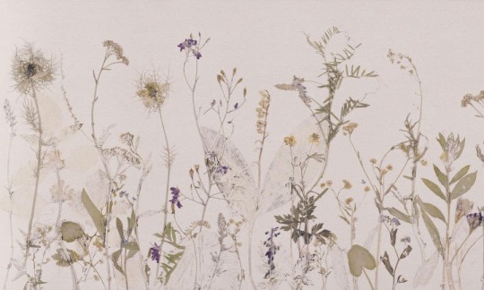 Wall Art Annowa Campo Di Erbe - mural z motywem łąki