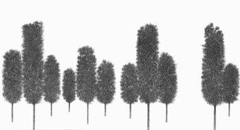 d00554b66c64082025ec4151561ebe21