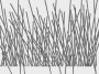 542b2614b3c124ffa64e125c7b4840db