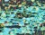 a89d79bbd62287926e8da50692ac82fa
