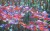 ab1f7e5006a0829aba7d2c24fa4be6b9
