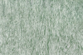 03f40bb439a2d502a7714546538db566