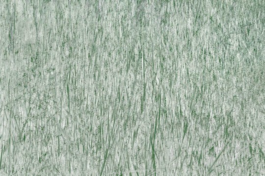 Wallpepper TV-07-A Capsule Tom Vack Reeds - mural z motywem trawy