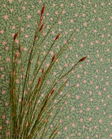 Eijffinger 316055 Posy - tapeta z motywem kwiatów