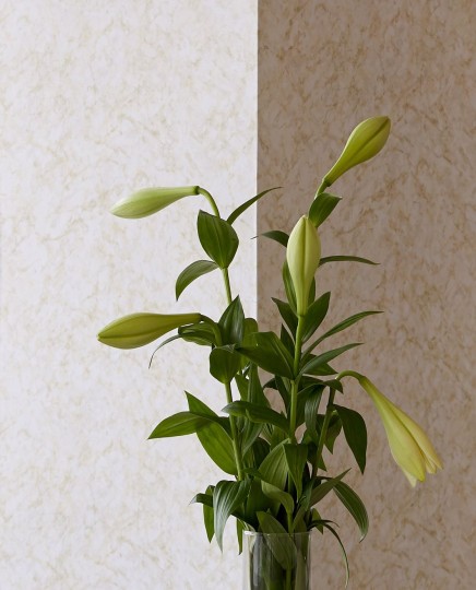 Eijffinger 342071 Venue - tapeta z motywem marmuru