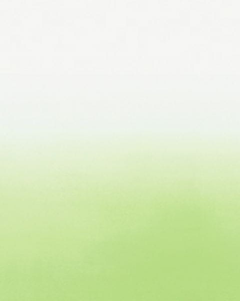 1fe5c6c6a3e460fb72916855df452ee1