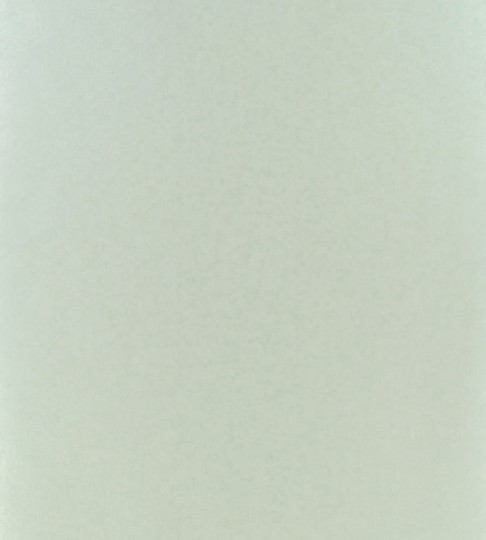 Tapeta Designers Guild Nabucco P534/05 PAPILO - SILVER