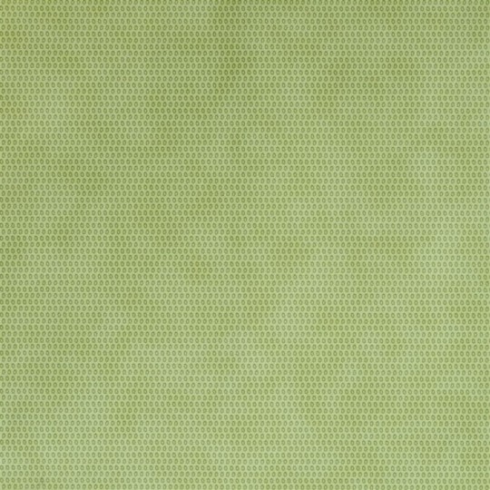Tapeta Designers Guild Carlu P531/06 IRIBE - PISTACHIO