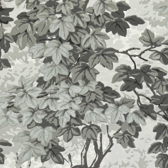 Zoffany ZINW310059 Kensington Walk Richmond Park Charcoal - tapeta w liście