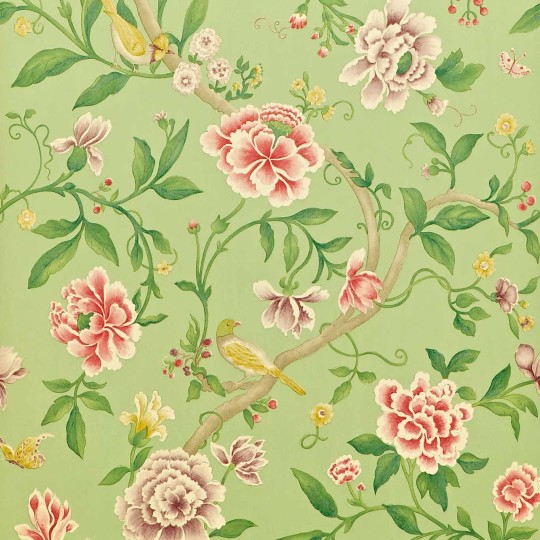 Sanderson DCAVPO101 One Sixty Porcelain Garden Rose/Fennel - tapeta w kwiaty