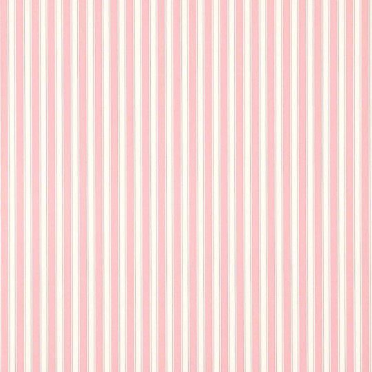 Sanderson DCAVTP101 One Sixty New Tiger Stripe Rose/Ivory - tapeta w pasy