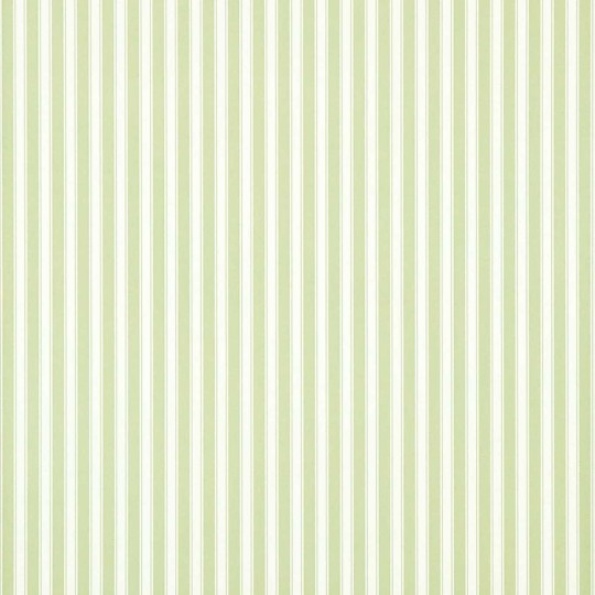 Sanderson DCAVTP103 One Sixty New Tiger Stripe Leaf Green/Ivory - tapeta w pasy
