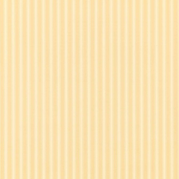Sanderson DCAVTP104 One Sixty New Tiger Stripe Honey/Cream - tapeta w pasy