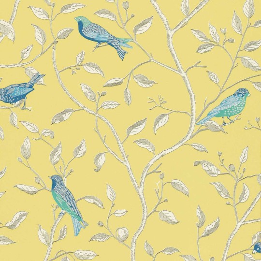 Sanderson DOPWFI101 One Sixty Finches Yellow - tapeta w ptaki