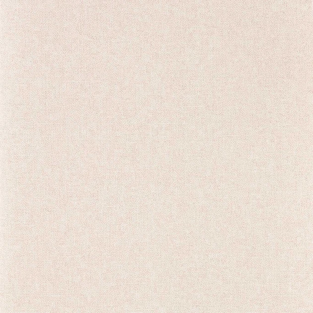 Sanderson 217244 Arboretum Sessile Plain Wild Rose - tapeta w kropki