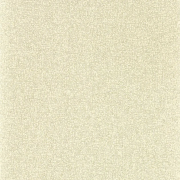Sanderson 217246 Arboretum Sessile Plain Birch - tapeta w kropki